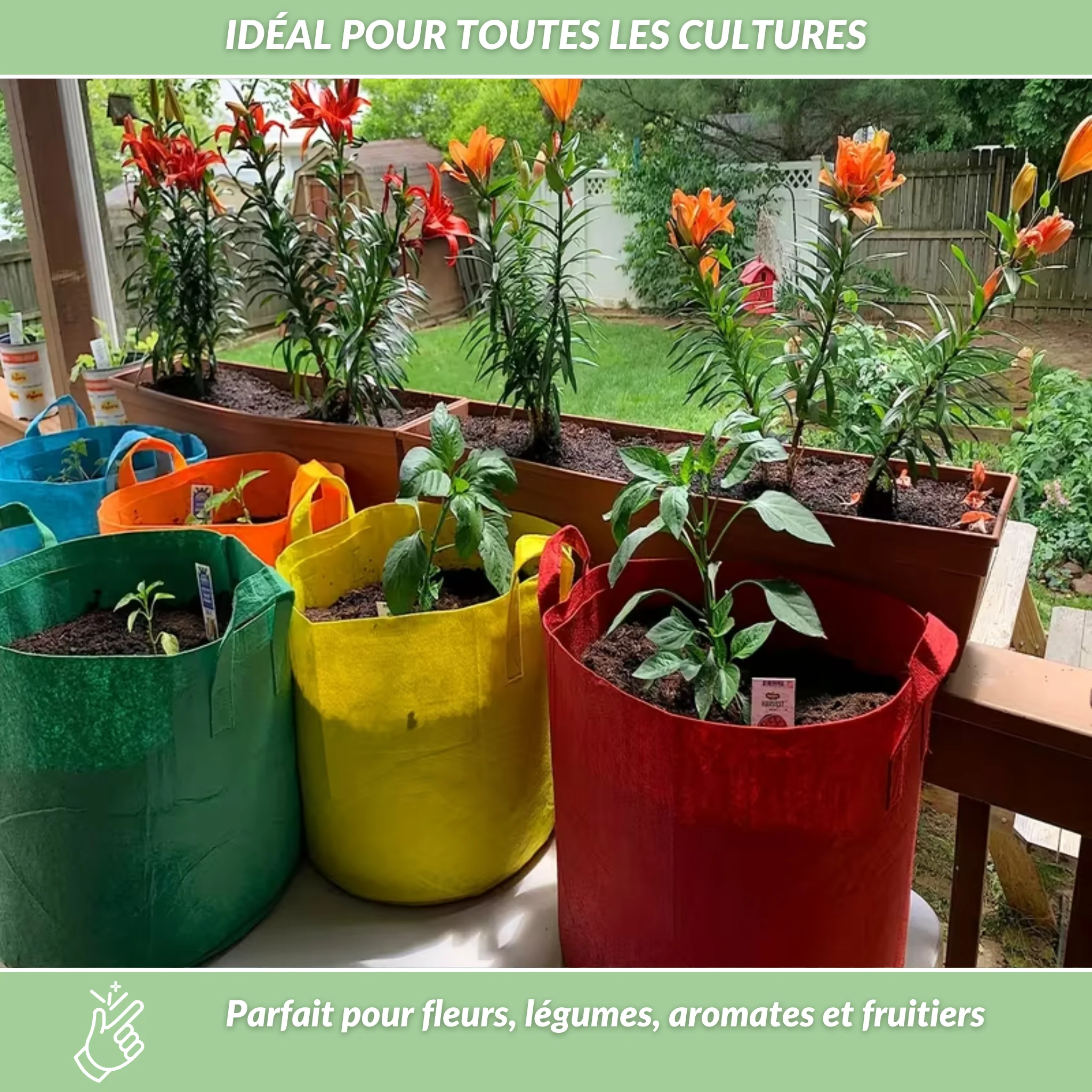 Image du produit 4